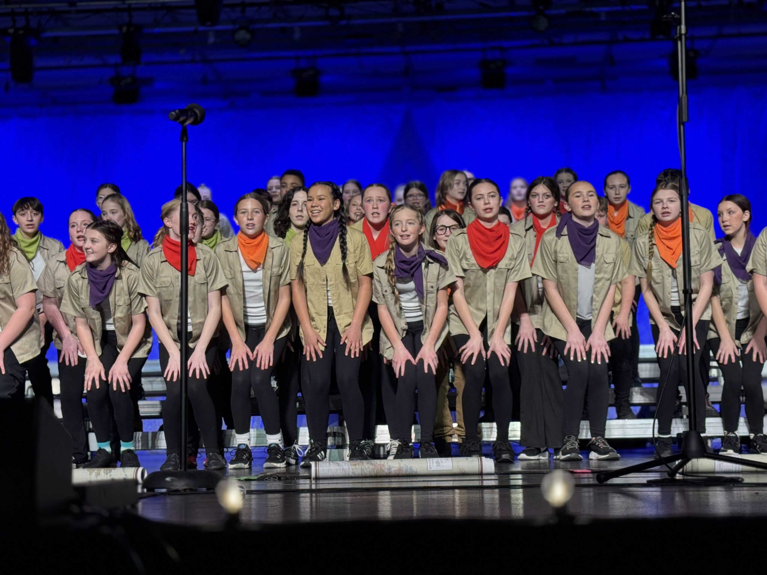 The Journey Begins….